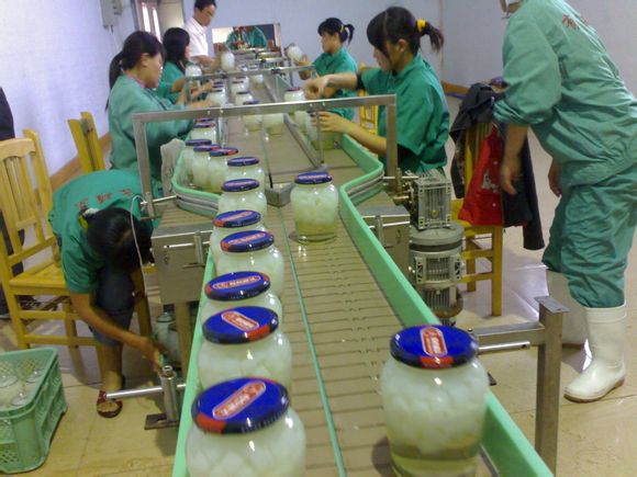 鏈板輸送機的優(yōu)點及發(fā)展趨勢分析